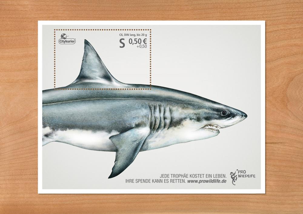 鲨鱼邮票欣赏